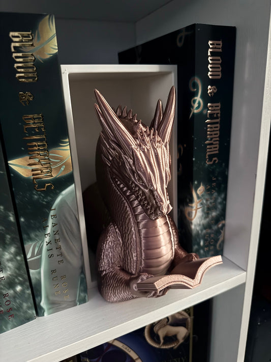 Reading Dragon Book Nook